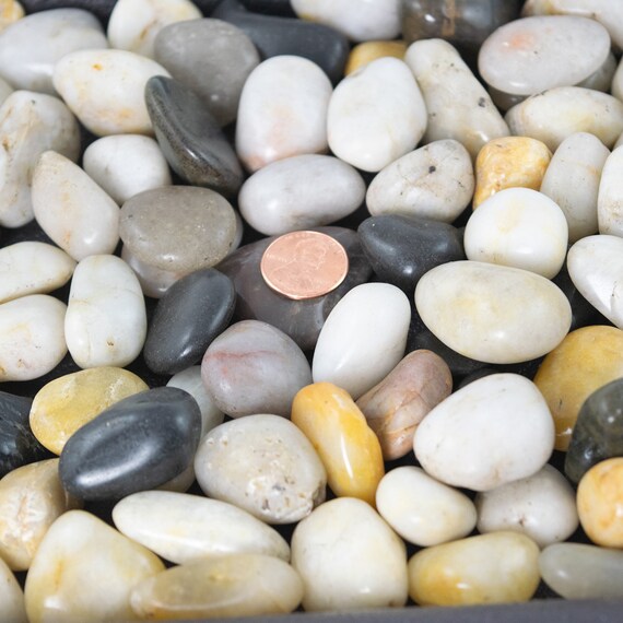 Free Shipping 3 Lbs Large Decorative Pebbles For Bonsai Tree Etsy