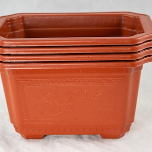 Yubonzai Rectangular Orange Plastic Bonsai Training Tall Pot, Cactus & Succulent Planter - 7.25&quot;- 17.5&quot;