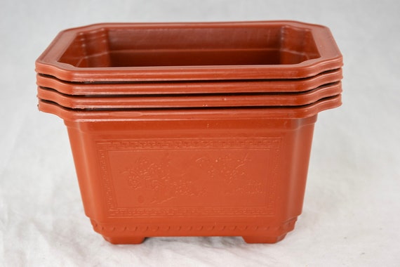Yubonzai Rectangular Orange Plastic Bonsai Training Tall Pot, Cactus &  Succulent Planter - From 7.25" to 17.5" - Etsy