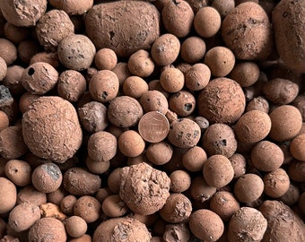 Cali-Bon Horticultural Ceramsite Clay Balls, Pebbles Growing Media for Hydroponic Aquaponic & Orchid - Large Size