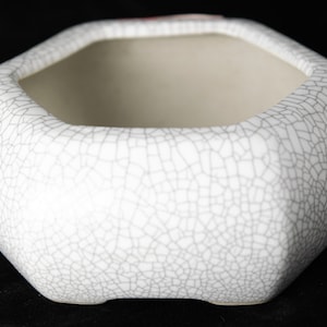 May include: White ceramic planter with a crackled glaze finish. The planter has an octagonal shape and a wide, shallow opening.