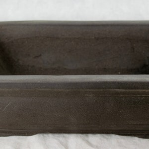 May include: A dark brown rectangular ceramic bonsai pot with a slightly rounded bottom and a lip around the top edge.