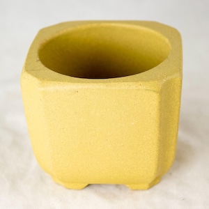 May include: A square yellow ceramic planter with a textured surface. The planter has a wide opening and a flat base.