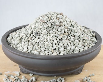 Free Shipping 3/16" Small  Horticultural Pumice for Cactus and Succulent, Bonsai Tree Soil Mix