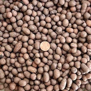 Cali-Bon Horticultural Ceramsite Clay Balls, Pebbles Growing Media for Hydroponic Aquaponic & Orchid - Small Size