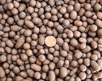 May include: A close-up image of a pile of brown, round, and oval-shaped clay pebbles. A US penny is placed on top of the pebbles for scale.