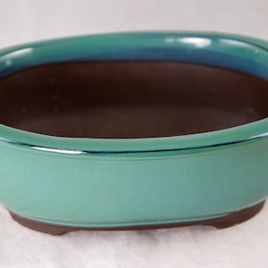 May include: A teal green oval ceramic bonsai pot with a brown interior. The pot has a glazed finish and a slightly raised rim.