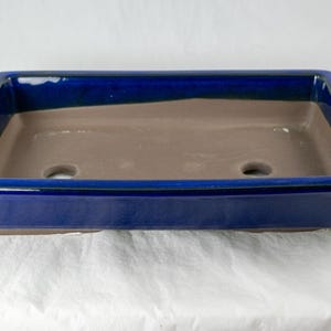 May include: A rectangular blue bonsai pot with a brown interior and drainage holes. The pot has a glazed finish.
