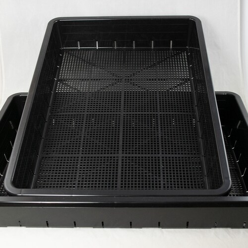 Bandeja de plástico negra japonesa Yubonzai (2 unidades) para plántulas, esquejes, propagación, bonsáis en bosque o plantación en grupo (50,8 x 35,5 x 8,3 cm)