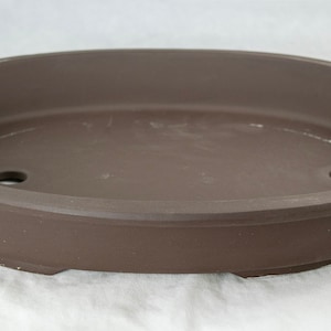 May include: A brown oval ceramic bonsai pot with two drainage holes.