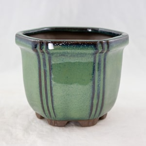 Yubonzai Semi-Cascade, Hexagon Dark Green Shohin Bonsai Pot, Cactus &  Succulent Planter + Mesh - 4.25"x 4.25"x 3.25"