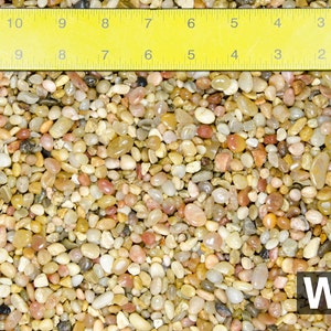 May include: A close-up image of a variety of small, smooth, colorful pebbles. The pebbles are wet and appear to be a mix of beige, brown, white, and red. A ruler is visible at the top of the image, with the word "WET" in the bottom right corner.