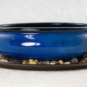 Yubonzai 8&quot; Oval Blue Bonsai Pot, Cactus & Succulent Planter + Tray + Rock + Mesh Combo