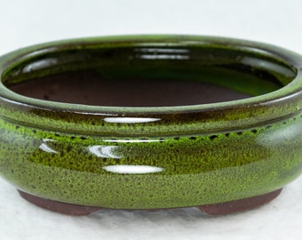 Free Shipping 6" Oval Moss Green Glazed Shohin Bonsai, Cactus & Succulent Pot/Combo/Kit