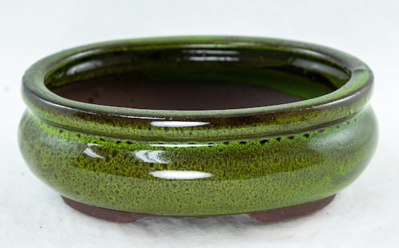 Versatile Moss Green Bonsai Pot Kit