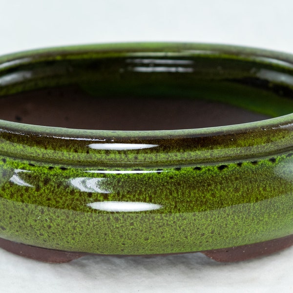 Yubonzai 6" Oval Moss Green Glazed Shohin Bonsai, Cactus & Succulent Pot/Combo/Kit