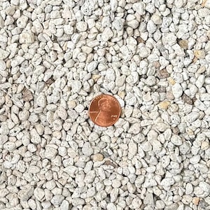 Cali-Bon Japanese 3/16&quot; Small  Horticultural Pumice for Cactus and Succulent, Bonsai Tree Soil Mix