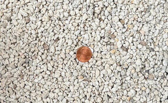 thumbnail image 2 of 2 Gallons 3/8" Horticultural Pumice Rock – Soil Amendment For Succulents, Cacti, Bonsai 2 of 4
