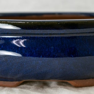 May include: A dark blue glazed ceramic bonsai pot with a rounded oval shape and a slightly flared rim. The pot has a smooth, glossy finish and a slightly textured base.