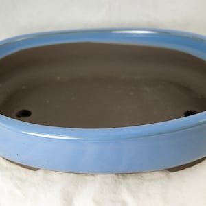 May include: A light blue oval ceramic bonsai pot with a brown interior. The pot has a glazed finish and three drainage holes in the bottom.