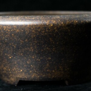 May include: A dark brown ceramic bonsai pot with a speckled gold glaze. The pot has a wide, shallow base and a flared rim.