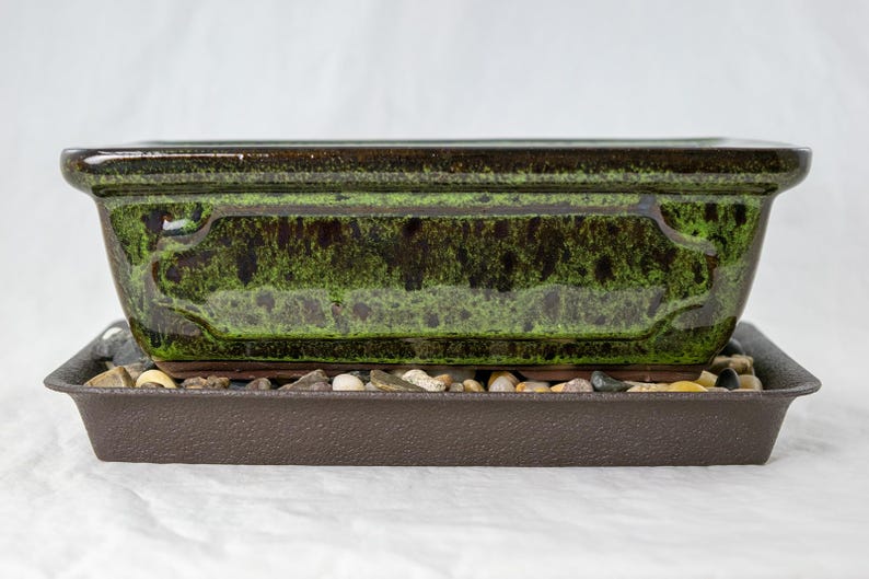 Yubonzai Rectangular Moss Green Glazed Bonsai Pot, Cactus & Succulent Planter 8"x 5.75"x 2.5" - Pot/Combo Combo