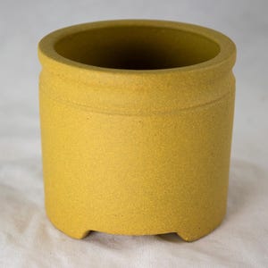 May include: A small, yellow ceramic planter with a rounded base and a slightly flared rim. The planter has a textured surface and a subtle sheen.