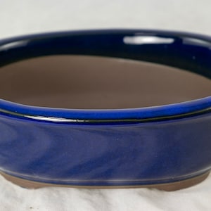 May include: A blue oval ceramic bonsai pot with a brown interior. The pot has a glossy finish and a slightly raised rim.