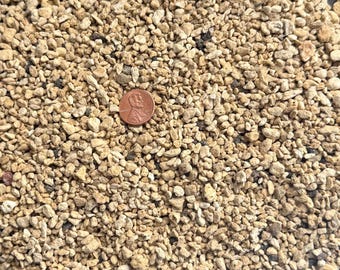 May include: A close-up shot of small, light brown gravel. A copper penny is included for scale. The gravel consists of various sizes and shapes, with some darker pieces mixed in. The penny is a UK penny.