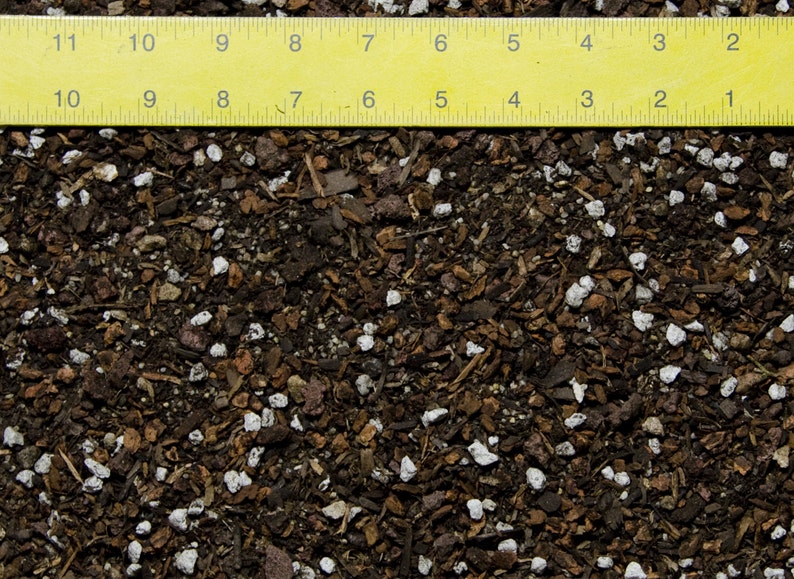 Cali-Bon Super Blend All Purpose Organic Bonsai Soil with Coarse Sand, Mycorrhizae, Red Lava & Turface - Medium Grain bild 4