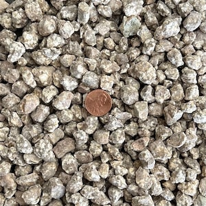 May include: A close-up of a pile of small, brown and white gravel. A penny is placed on top of the gravel for scale.
