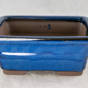 May include: A blue ceramic bonsai pot with a rectangular shape and a dark brown rim. The pot has a glossy finish and a slightly raised base.