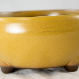 Yubonzai Japanese Yokkaichi Mustard Round Glazed Bonsai Pot, Cactus & Succulent Planter + Mesh 4.25&quot; to 9.25&quot;