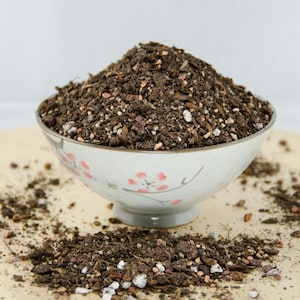 May include: A white ceramic bowl with a floral design filled with brown potting soil. The soil is a mixture of dark brown soil, small white pebbles, and small brown pieces of bark.