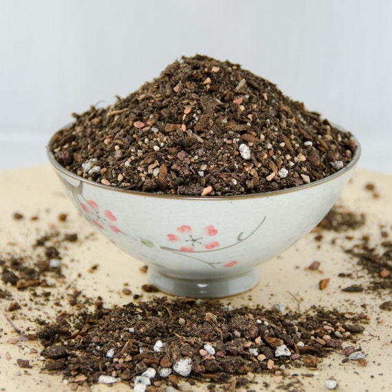 Cali-bon Special Blend Organic Bonsai Soil With Coarse Sand, Mycorrhizae,  Red Lava & Turface - Small Grain - Etsy