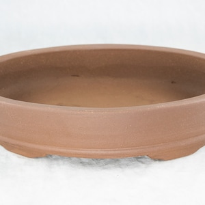 May include: A terracotta oval bonsai pot with a slightly flared rim and a rounded base. The pot has a smooth, unglazed finish.