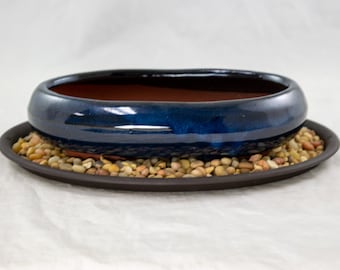 May include: A dark blue oval ceramic bonsai pot with a brown rim, sitting on a black saucer with small brown and beige stones.