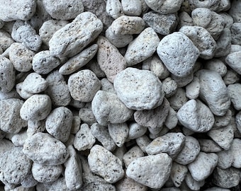 Cali-Bon Japanese Extra Large Keiseki Pumice for Cactus & Succulent, Orchid and Yamadori Bonsai Soil Mix - 1/2" to 1"