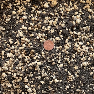 May include: Close-up of a mixture of dark brown soil and small white pebbles. A US penny is placed on top of the soil for scale.