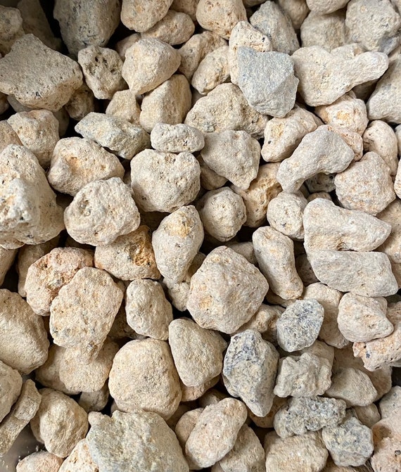 Genuine Japanese Large Kiryu for Pines & Junipers Bonsai Tree Soil Mix - (  10 Mm - 18 Mm ) Grain - Etsy