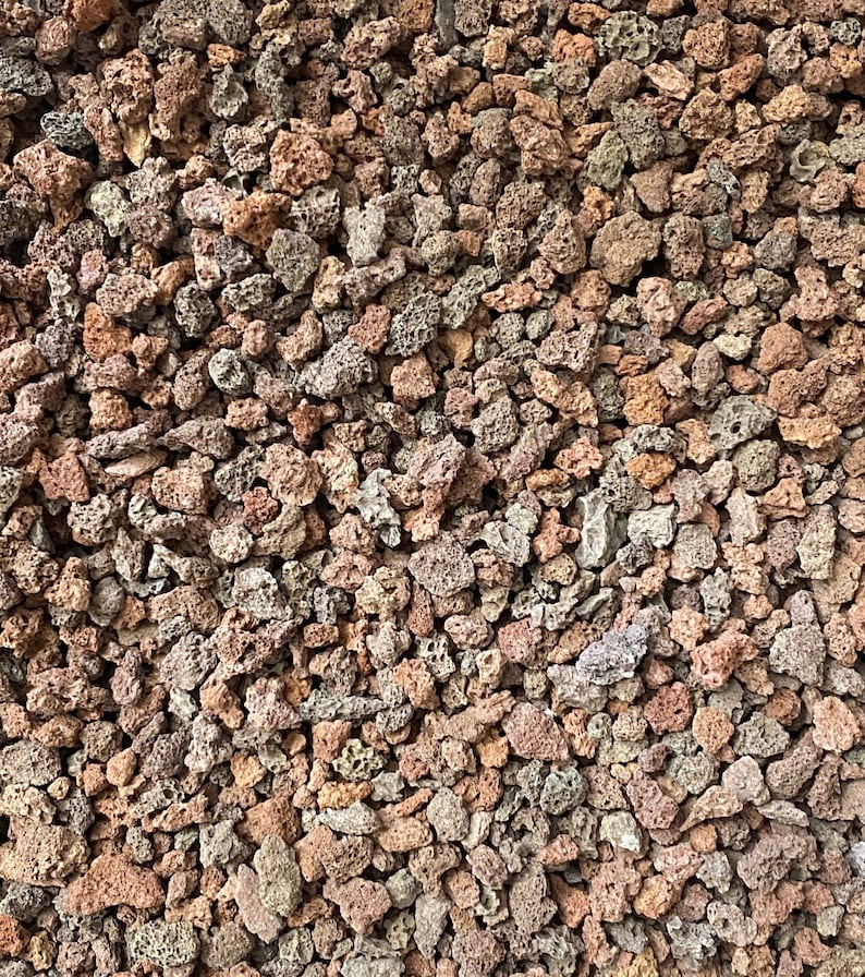 Calibonsai Horticultural Lava