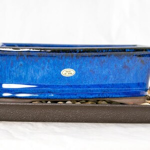 May include: A blue ceramic bonsai pot with a brown plastic tray. The pot has a glazed finish and a label that reads "Made in Japan".