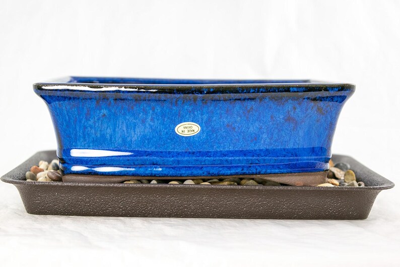 May include: A blue ceramic bonsai pot with a brown plastic tray. The pot has a glazed finish and a label that reads "Made in Japan".