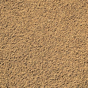 Genuine Japanese Shohin Akadama for Cactus & Succulent, Bonsai Tree Soil Mix - Super Hard ( 2 mm - 3 mm ) Grain