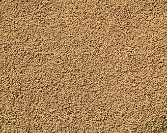 Genuine Japanese Shohin Akadama for Cactus & Succulent, Bonsai Tree Soil Mix - Super Hard ( 2 mm - 3 mm ) Grain