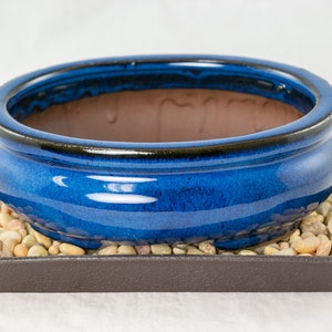 May include: A blue ceramic bonsai pot with a black rim sits on a black plastic tray with small white stones.
