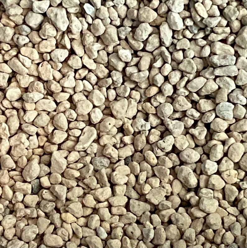 Calibonsai Hyuga Pumice - Thumbnail 3