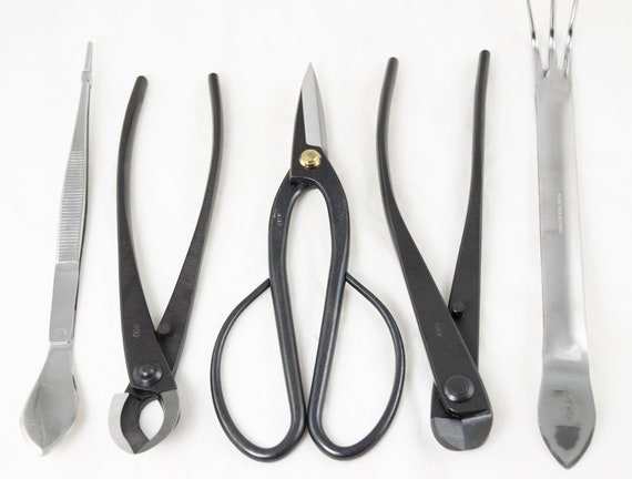 heiliger bambus winterhart Heiliger Bambus 'Obsessed' in Weiß kaufen main image 1
