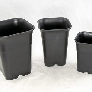 Yubonzai Heavy Duty Mixed Square Black Cascade Plastic Bonsai Pot, Cactus & Succulent, Orchid Planter - from 3.25" to 4.75"