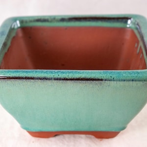 May include: Square bonsai pot with a turquoise glaze and a reddish-brown interior. The ceramic pot has a slightly flared shape and sits on four small feet. The rim has a darker, contrasting edge.